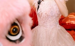 碟仙怎么玩视频